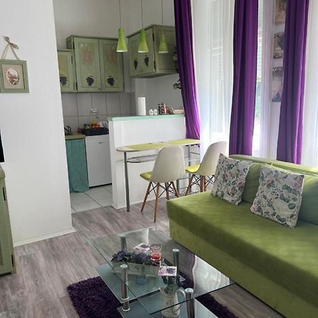 Center Cosy Vintage Apartment Novi Sad Buitenkant foto