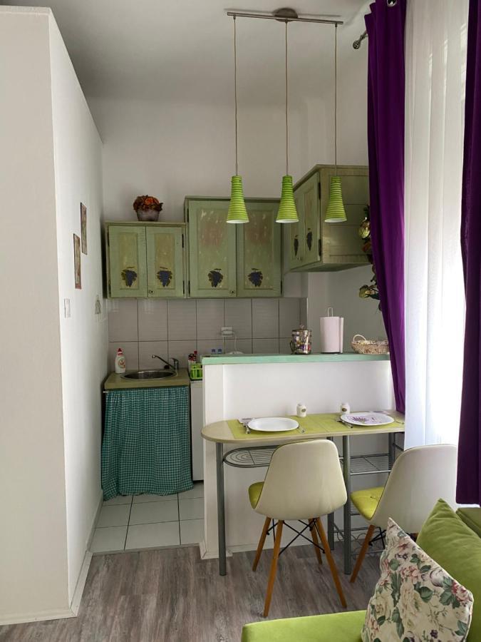 Center Cosy Vintage Apartment Novi Sad Buitenkant foto