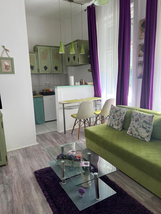 Center Cosy Vintage Apartment Novi Sad Buitenkant foto